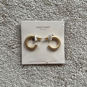 Sanctuary Project thick gold hoop earrings